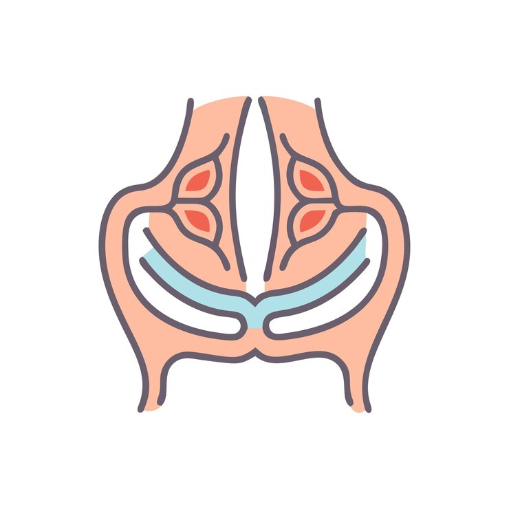 Vector illustration of anatomy in medical science