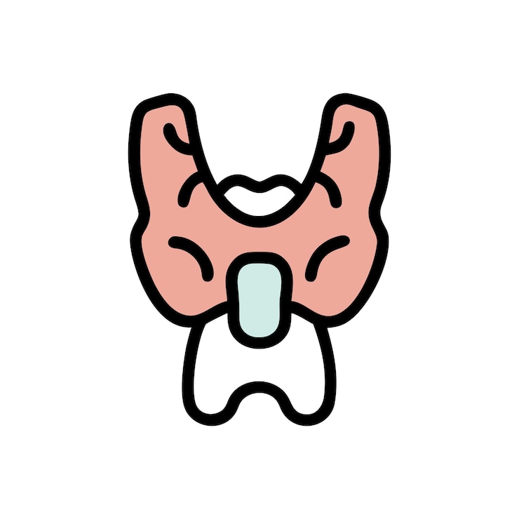 Vector illustration of anatomy part in medical science