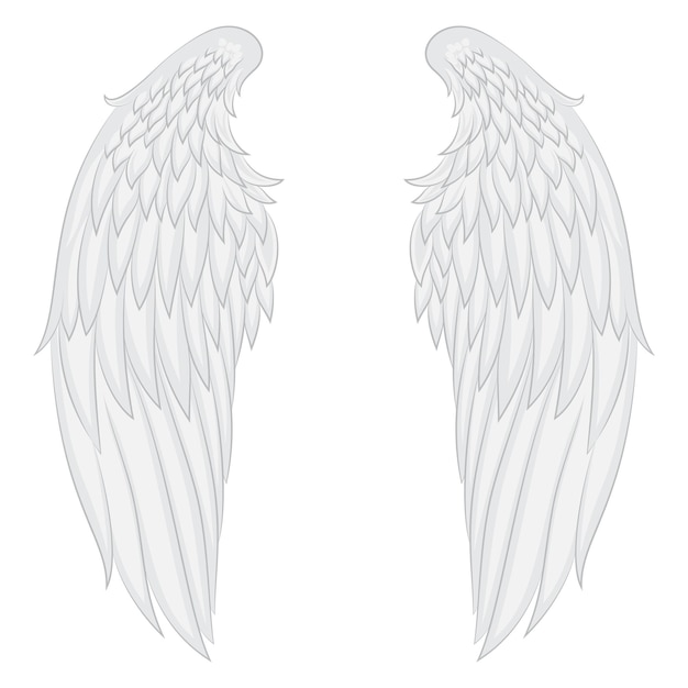 Illustration of angel wings vector image