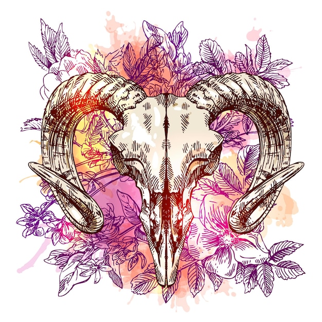 Illustration animal skull