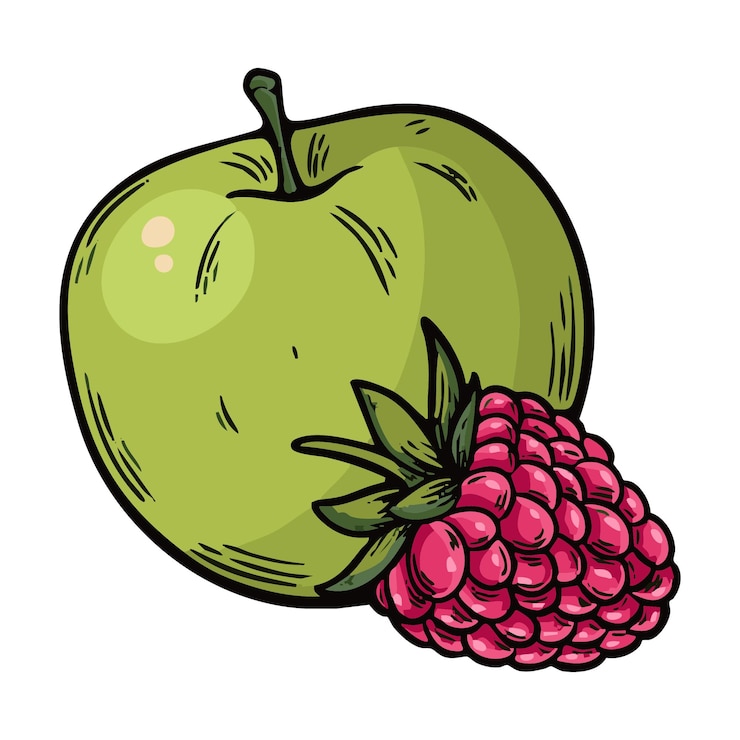 Vector illustration of apple and raspberry in engraving style