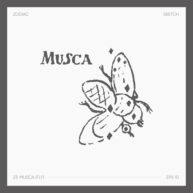 Illustration of astrological zodiac Musca Fly