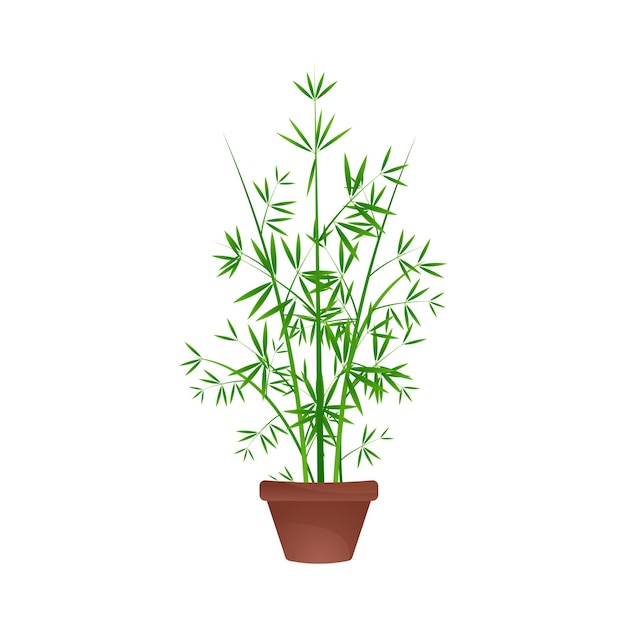 illustration of a bamboo tree in a clay pot