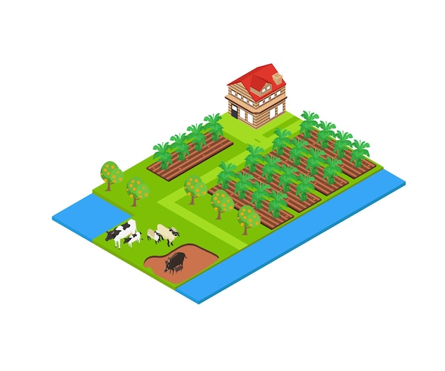 Illustration of a banana farming area in isometric style