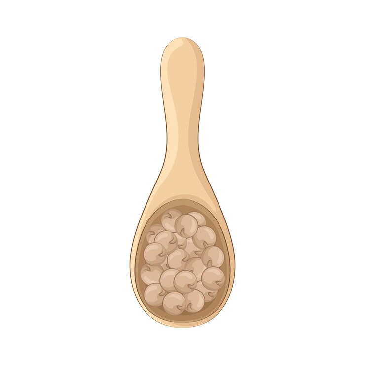Vector illustration of bean