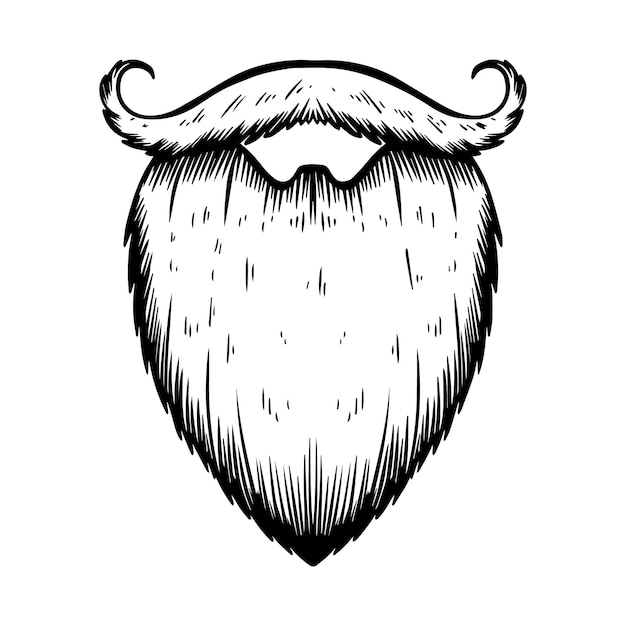Illustration of beard in engraving style on white background design elements for poster tshirt vector illustration