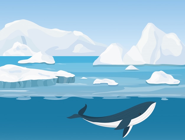 Illustration of beautiful arctic landscape of northern and antarctic life. icebergs in ocean and underwater world with whale