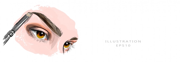 Vector illustration. beautiful female eyes and eyebrows. eyebrow master. coloring and correction of eyebrows. beauty, personal care industry. suitable for printing and printing on fabric.