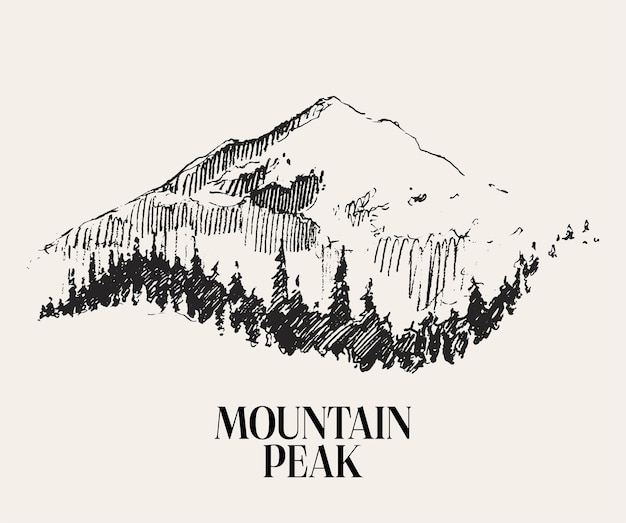 illustration of a beautiful landscape with mountain and spruce forest