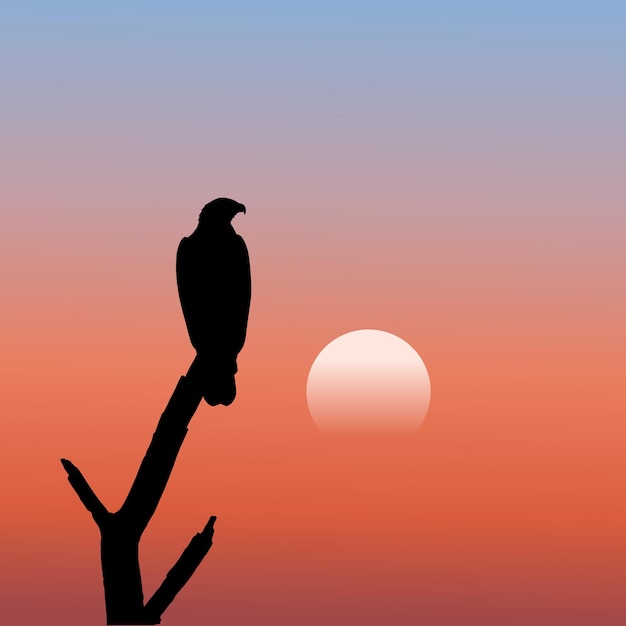 illustration of a bird silhouette with a sunset background