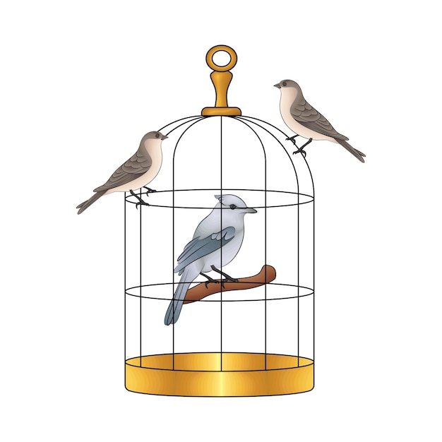 Vector illustration of bird