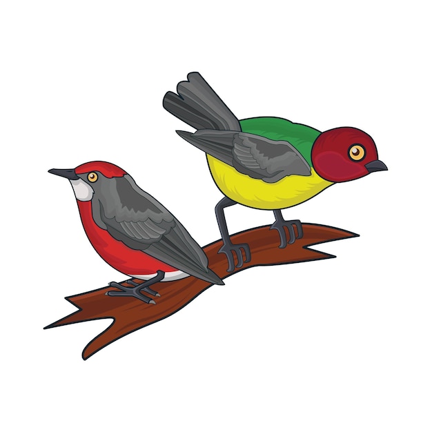 Illustration of bird