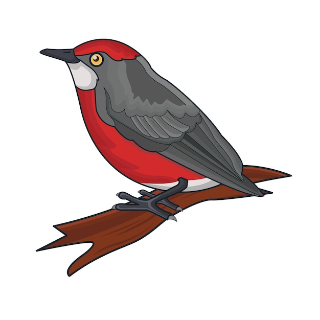 Vector illustration of bird