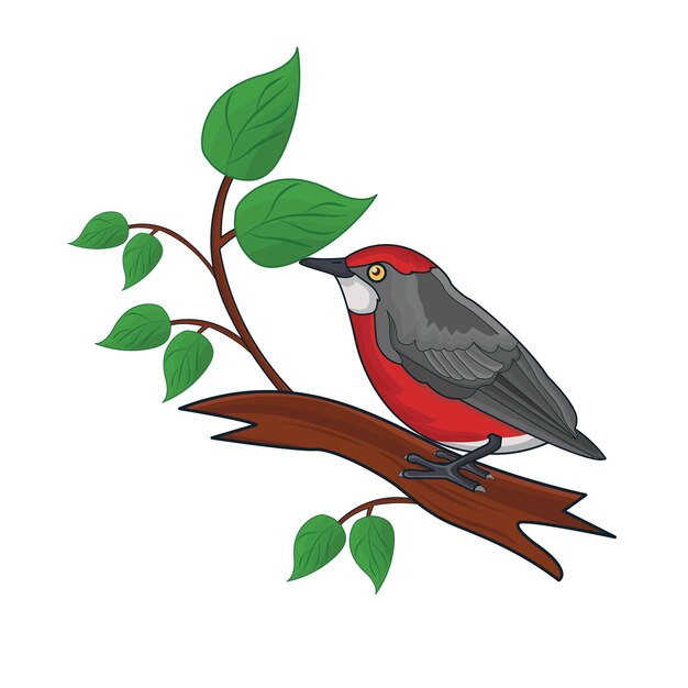 Vector illustration of bird