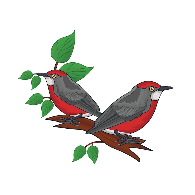 Vector illustration of bird
