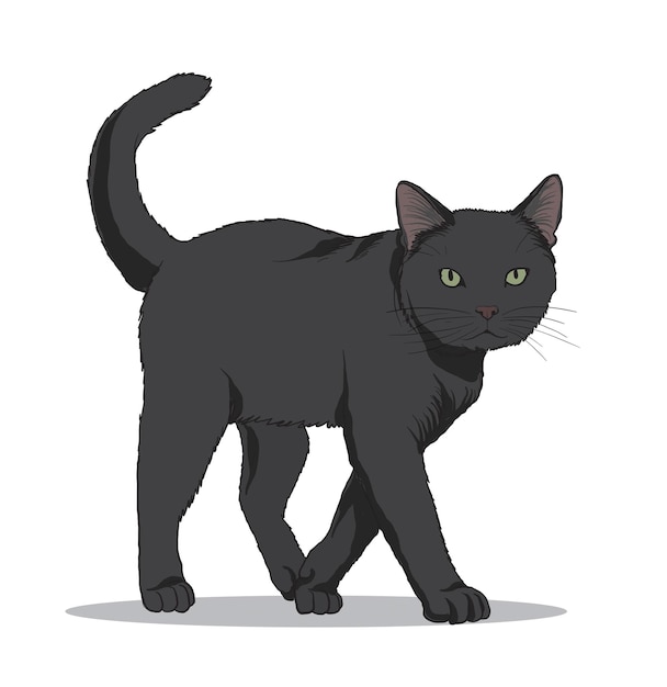 Vector illustration of black cat walking