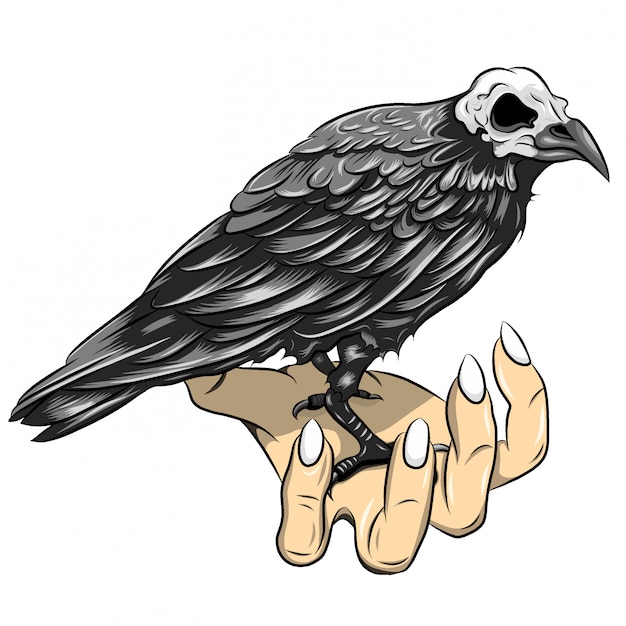 Vector illustration of black crow with stand on hand