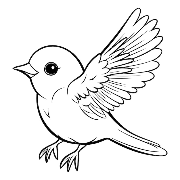 Vector illustration of a black and white bird on a white background