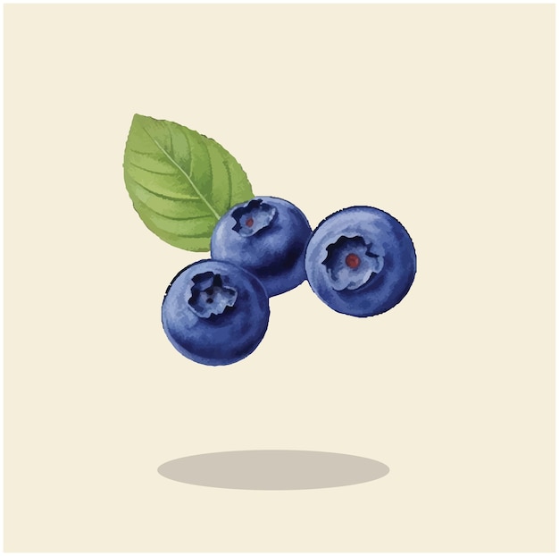 Vector illustration of a blueberry fruit 03