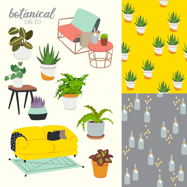 Vector illustration of botanical plants with interior