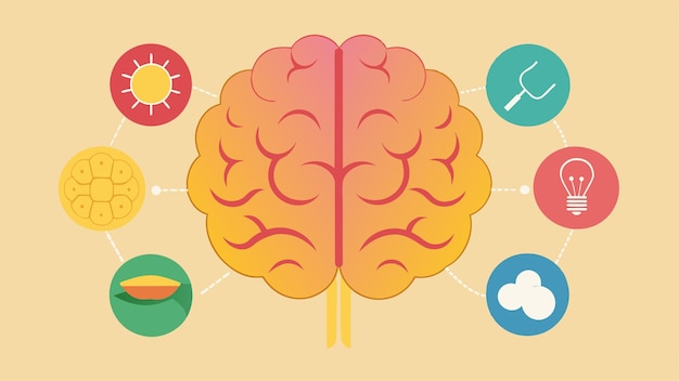 Vector an illustration of the brain highlighting the different areas responsible for memory and how they