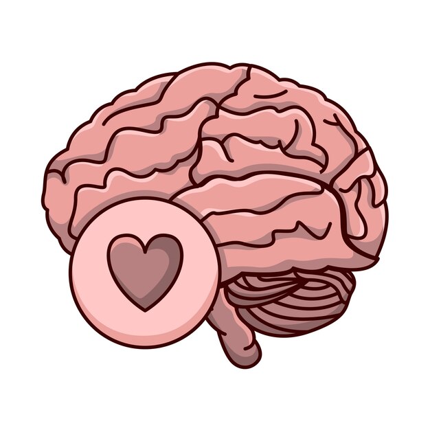 Illustration of brain