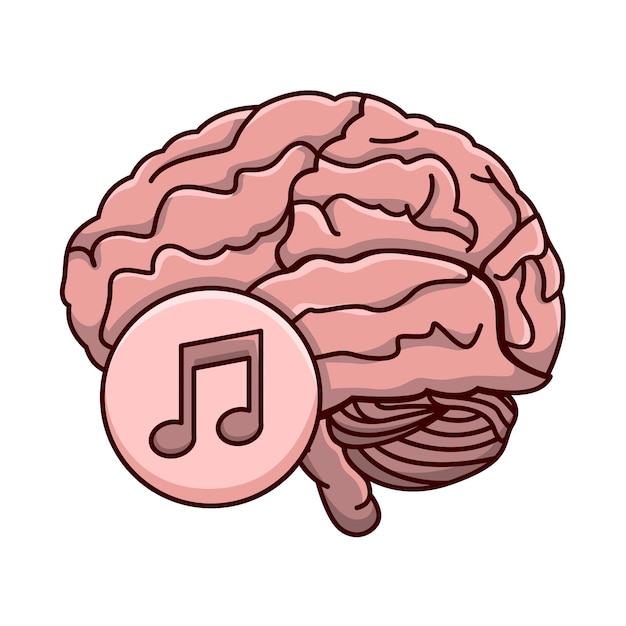 Illustration of brain