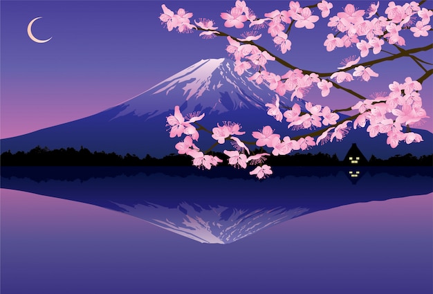 Illustrazione dei rami del fiore di sakura su fondo bianco