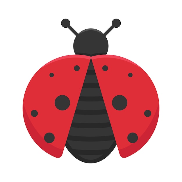 Vector illustration of bug