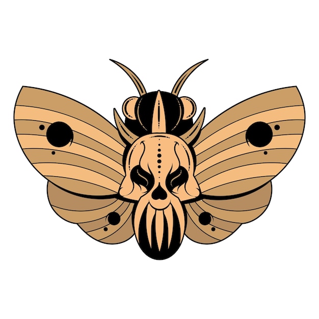 Vector illustration of a butterfly dead head with a skull-shaped pattern on the thorax. vector banner with realistic moth close up top view, black and white and colored