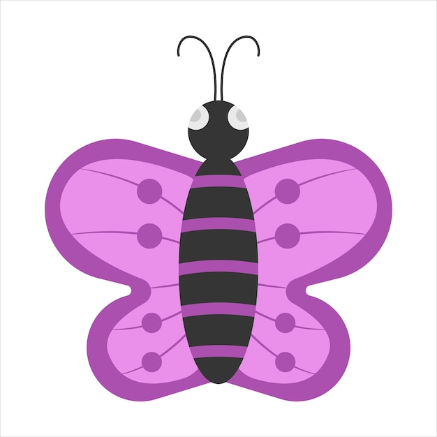 Illustration of butterfly