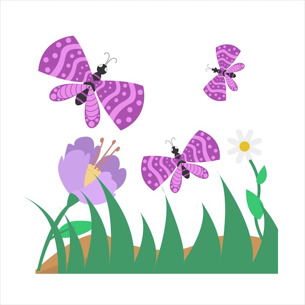 Vector illustration of butterfly