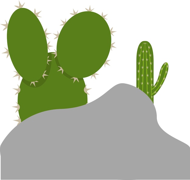 Illustration of cactus