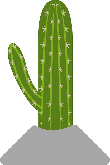 Illustration of cactus