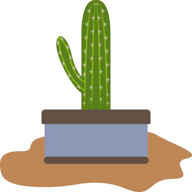 Illustration of cactus