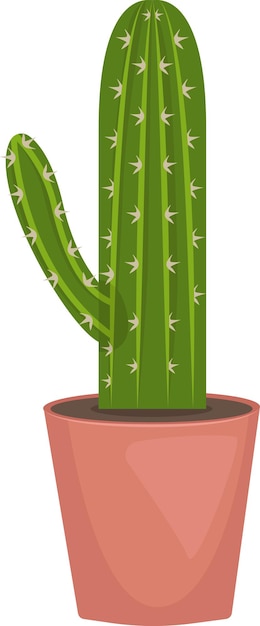 Illustration of cactus