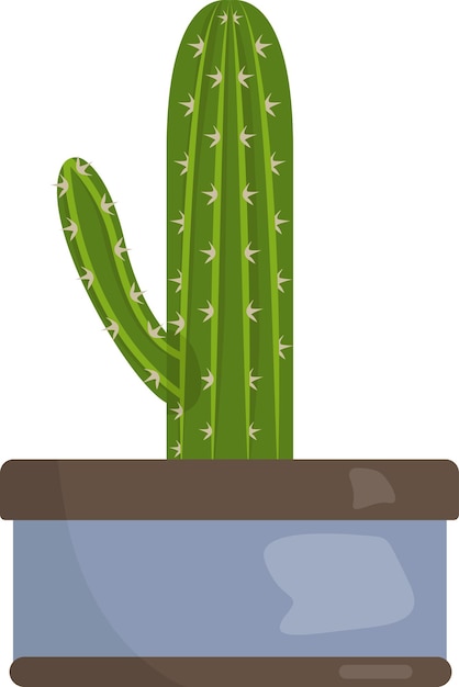 Illustrazione di cactus