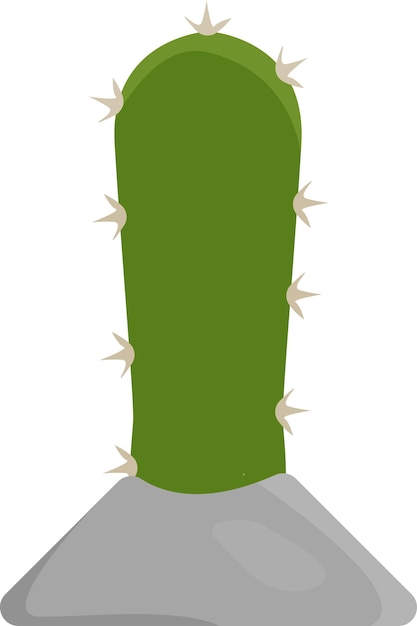 仙人掌的插圖