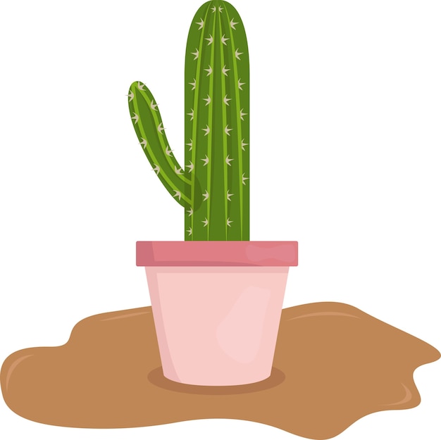 иллюстрация кактуса