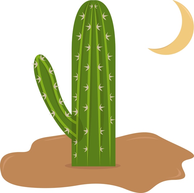 Illustration of cactus