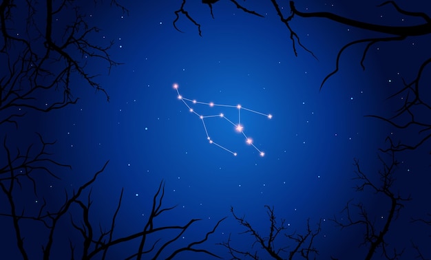 Illustration of Camelopardalis constellation. Tree branches, dark blue starry sky, cosmos