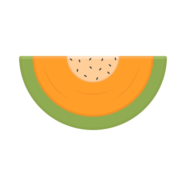 Vector illustration of cantaloupe