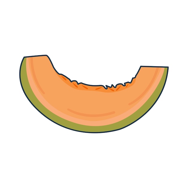 Vector illustration of cantaloupe