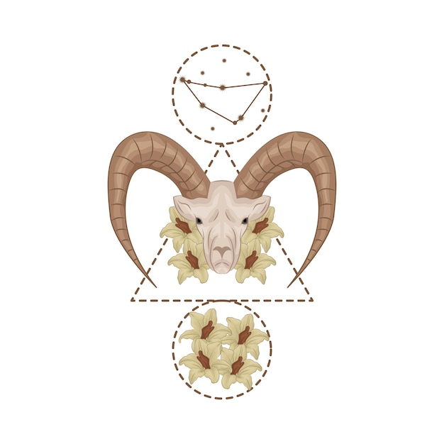 Illustration of capricorn