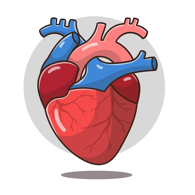 illustration of cartoon heart organ good for education, banner, healthy icon.