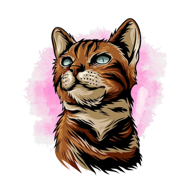 Illustration of a cat in colorful style