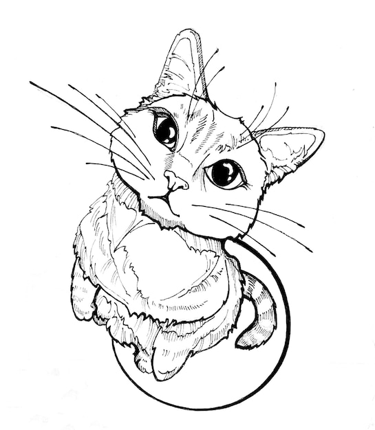 Illustration of cat on a white background funny kitten