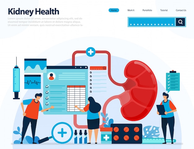 Illustration for checking kidney health. diseases and disorders of kidney.