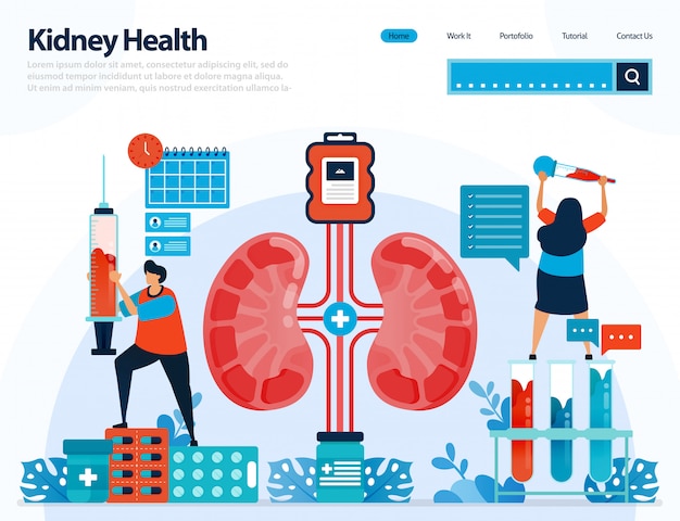 Illustration for checking kidney health. diseases and disorders of kidney.