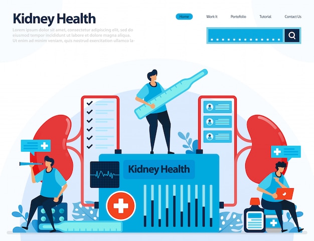 Illustration for checking kidney health. diseases and disorders of kidney.